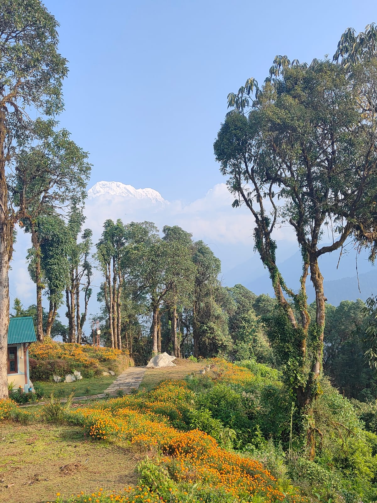 Annapurna Luxury Trek